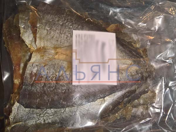 Царский полосатик с перцем в Новороссийске